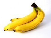 モーツァルトバナーナ♪