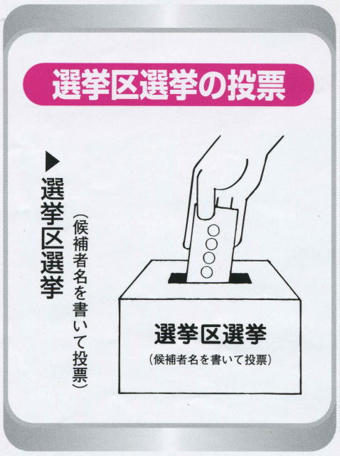 2010年度参議院選挙の投票率