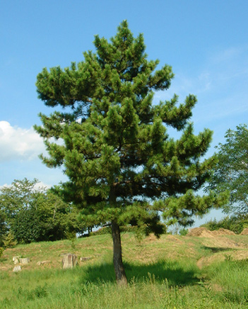 水樹奈々さん超ロングインタビューがexcite ニュースに！！