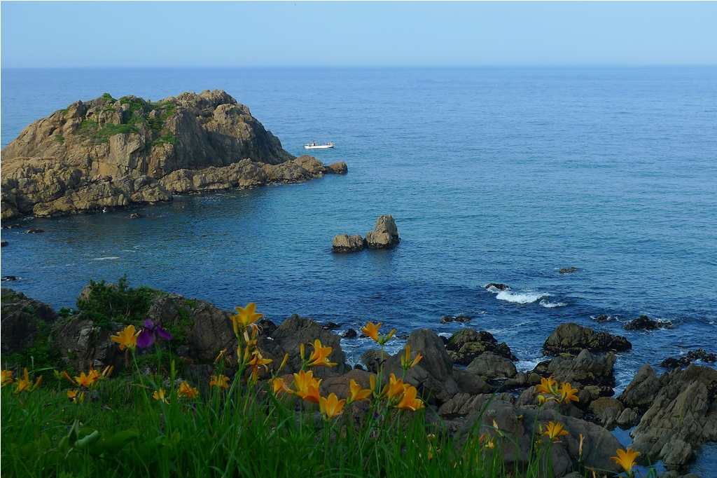 復興に貢献する国立公園の構想の検討開始