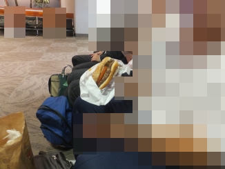 千里高校44期総合科学科、ハワイへ研修旅行！　【kagaminの記事の補足】編