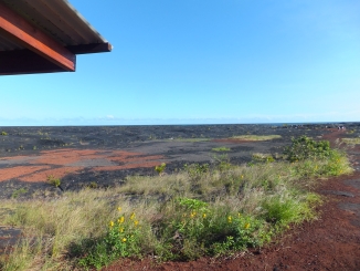 千里高校44期総合科学科、ハワイへ研修旅行！　【カラパナ・溶岩台地】編