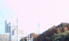自然についてのお話です