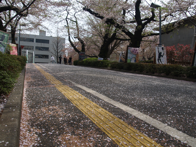 大学一年生のときにやっておかないと後悔すること