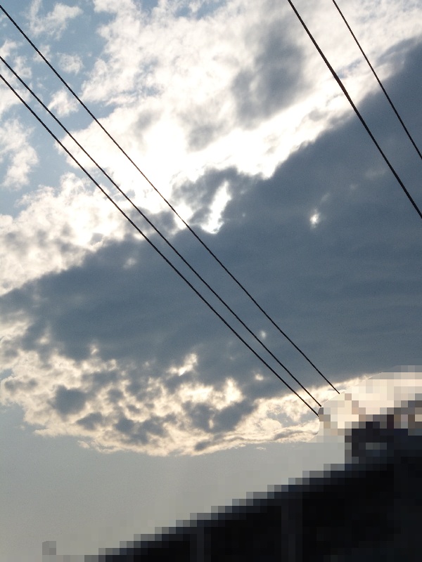 【金環日食】を観測してきました。