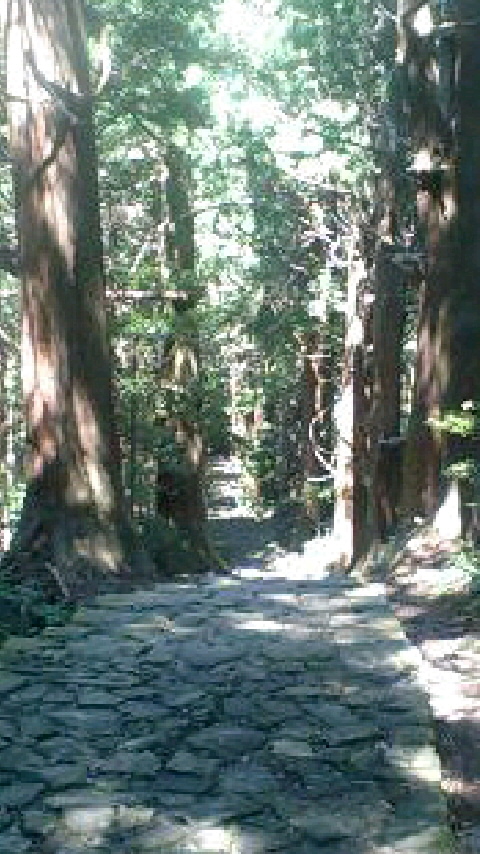 こんな待ち受けは嫌だランキング