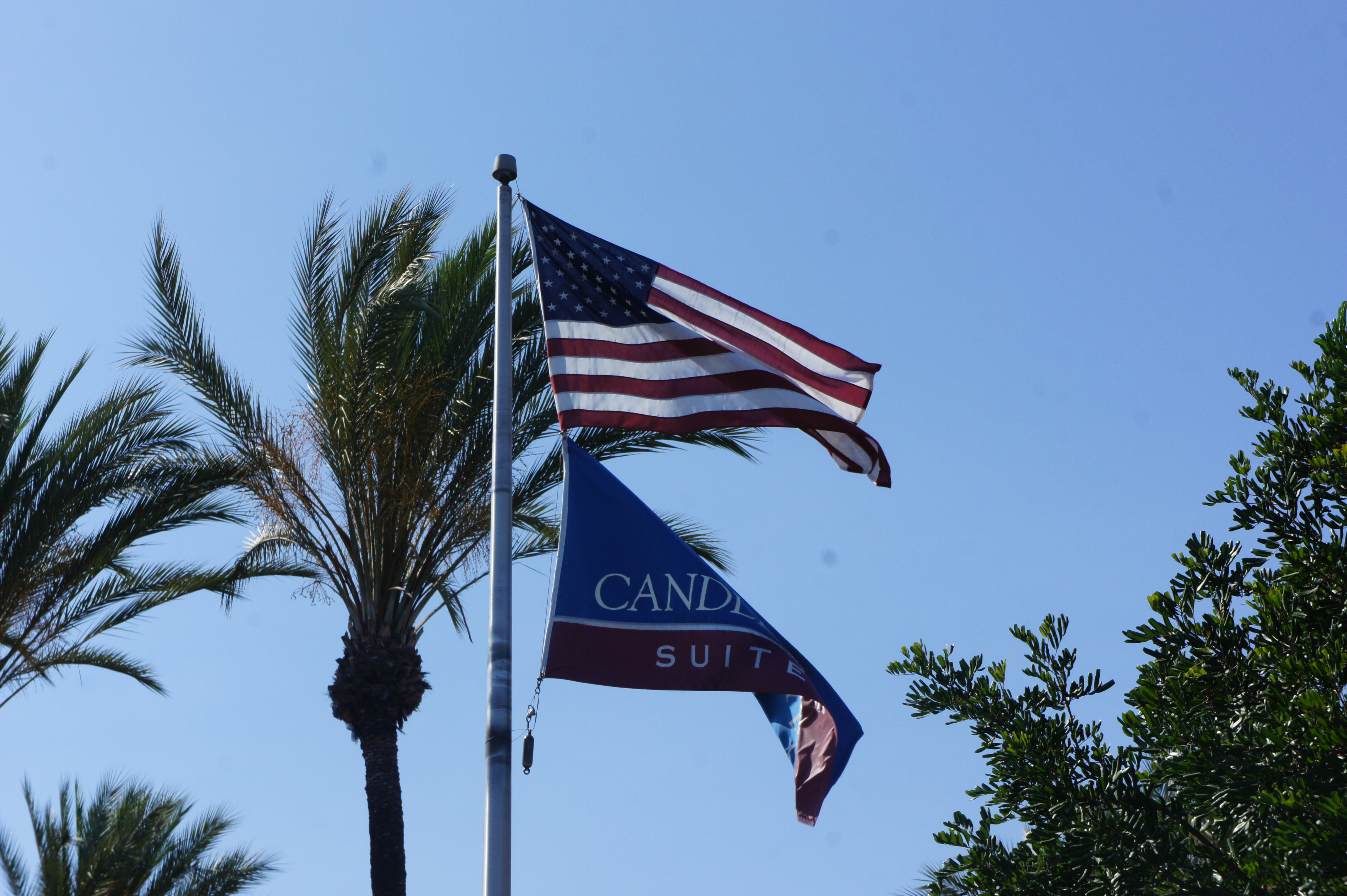 カリフォルニアなのである、なう。