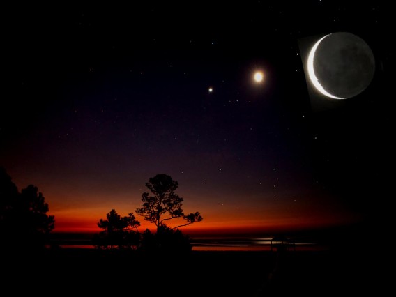 【新理論】地球が金星から月を奪った！？