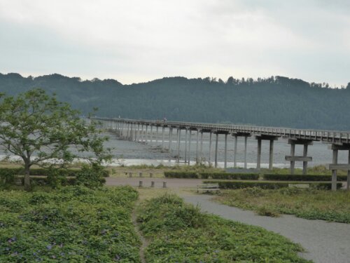 【静岡】世界一長い木造歩道橋を渡ってきた
