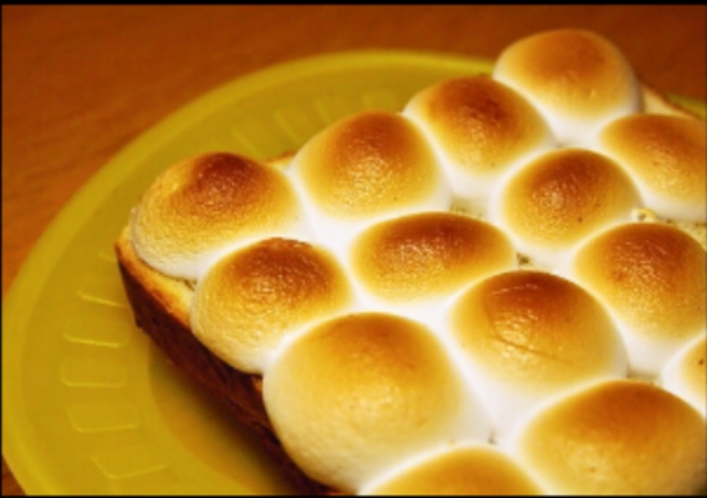 今話題のマシュマロトーストを実際にやると焦げる。さてどうするか。