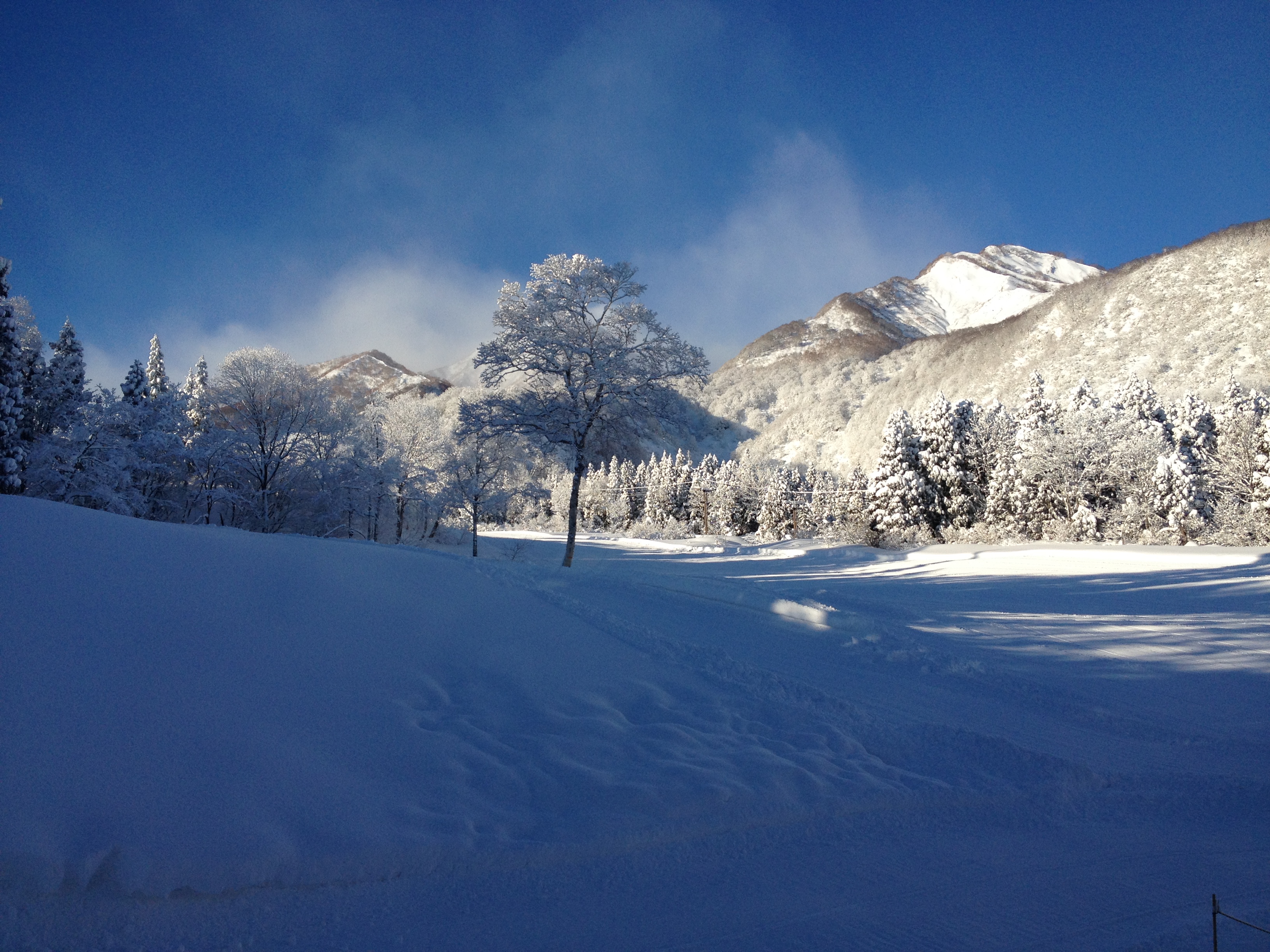 【2013年】新潟県に行ってきた②