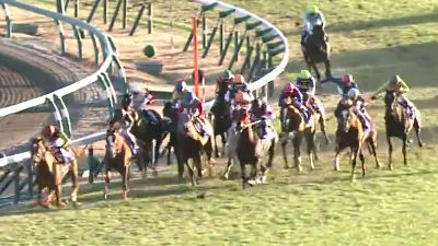 2013年の中央競馬GⅠレース結果を振り返る