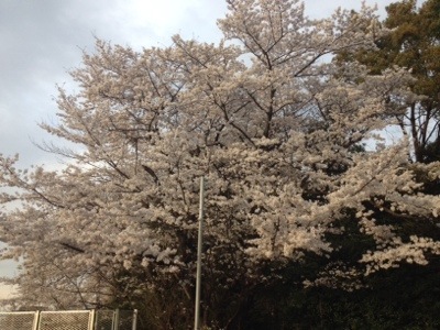 報道部活動記録・2014/4/2