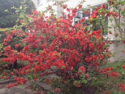 報道部活動記録・2014/4/9