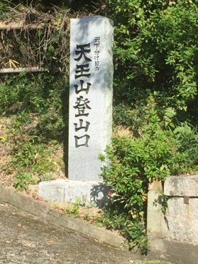 ワンダーフォーゲル活動記録「天王山」+a